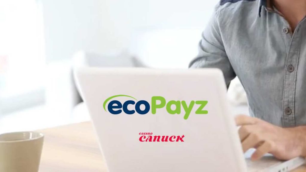 EcoPayz Background