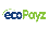 ecoPayz Icon