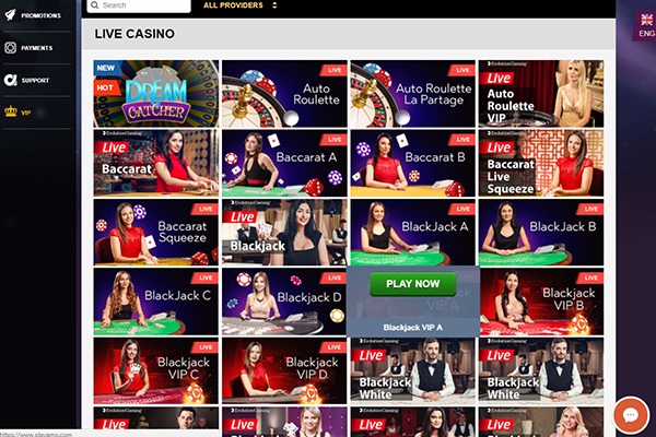 Playamo Casino Live Dealer