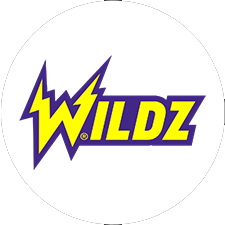Whilz Casino logo white circle
