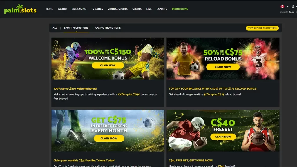 PalmSlots Promotions
