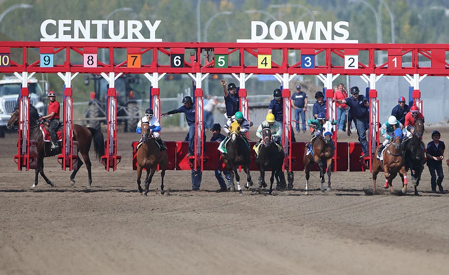 Century Downs Racetrack and Casino horse racing
