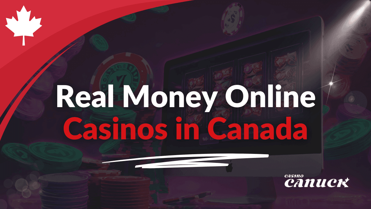 Beware The Legal Landscape of Online Gambling in Turkey: Navigating Regulations Scam