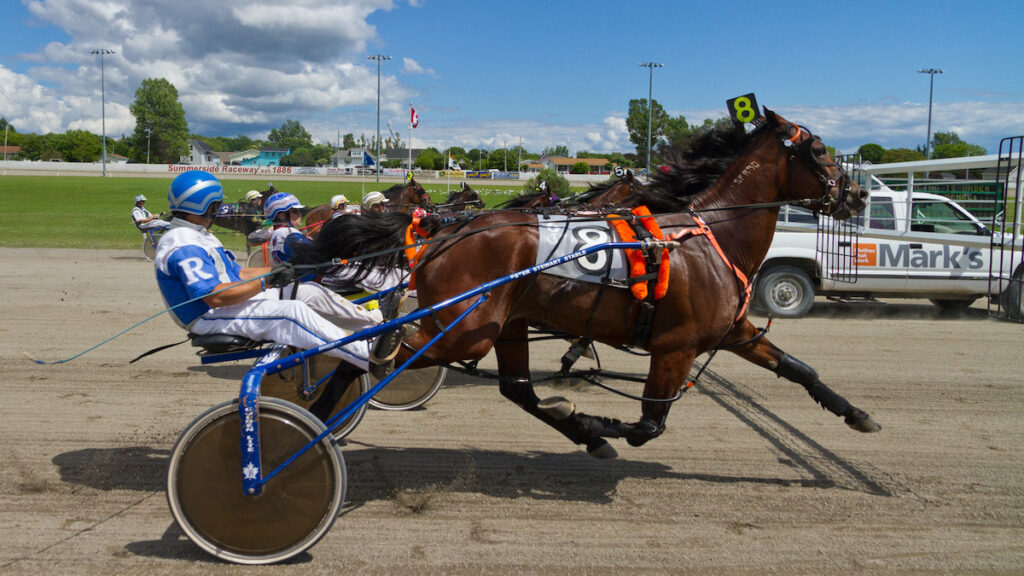Red Shores Summerside Raceway