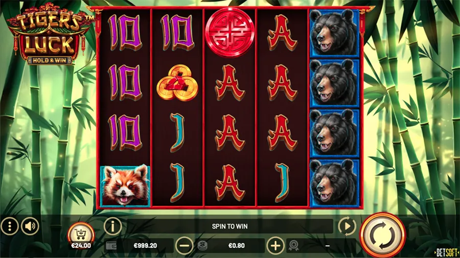 Tiger’s Luck Slot Screenshot